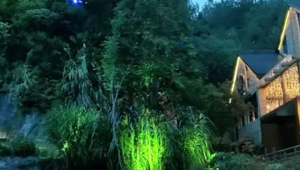 网游之大神莫挡路